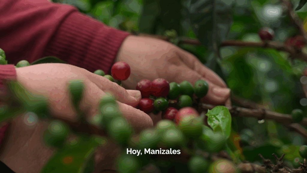 Manizales: La mejor ciudad para vivir en Latinoamérica